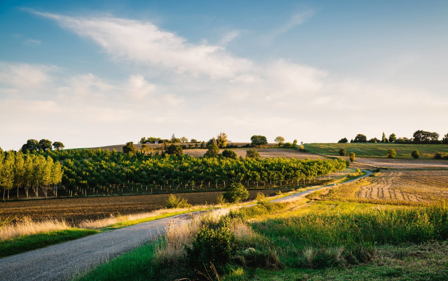 Champ nature sur les routes du Gers